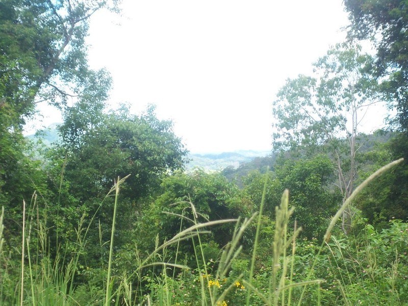 Lot 3 Settlement Road, Mullumbimby NSW 2482