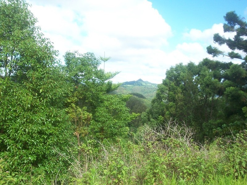 Lot 3 Settlement Road, Mullumbimby NSW 2482