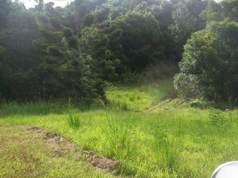 Lot 3 Settlement Road, Mullumbimby NSW 2482