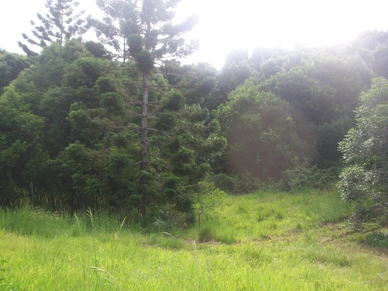 Lot 3 Settlement Road, Mullumbimby NSW 2482