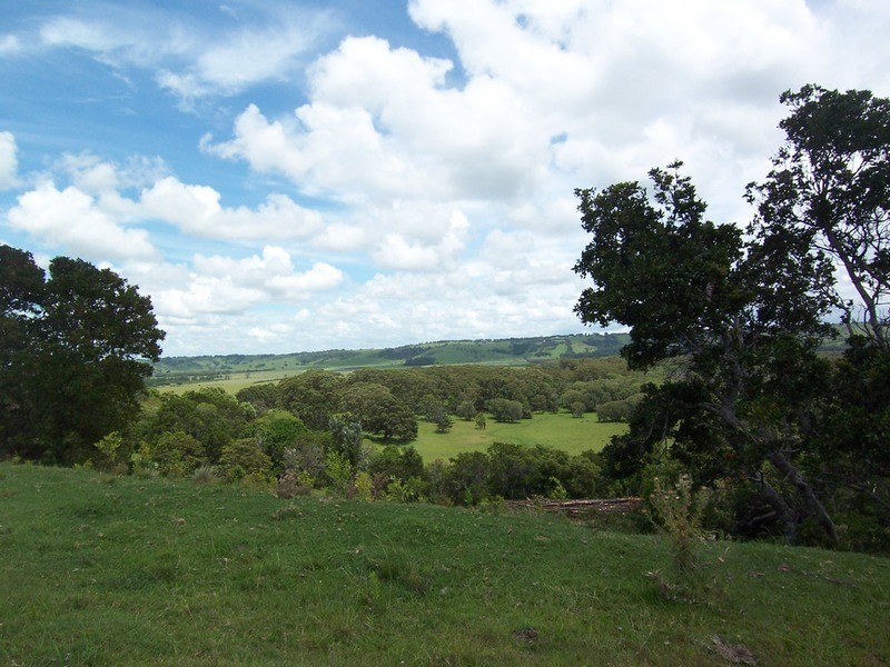 Lot 7 Bundaleer Road, Broken Head NSW 2481