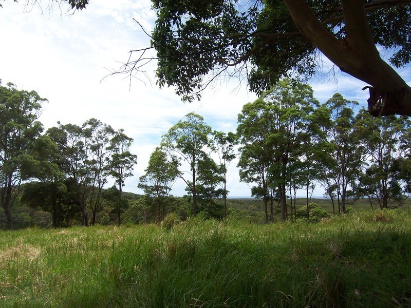 Lot 6 Bundaleer Road, Broken Head NSW 2481