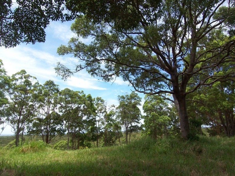 Lot 6 Bundaleer Road, Broken Head NSW 2481