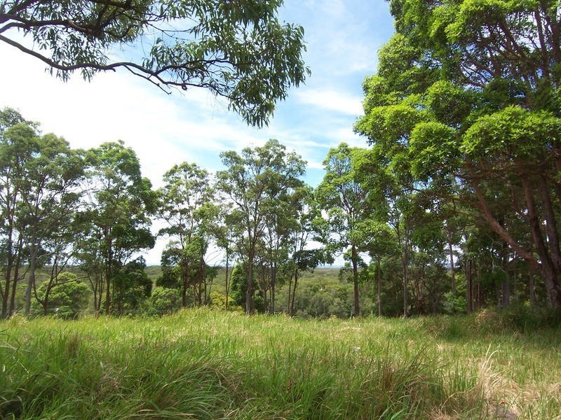 Lot 6 Bundaleer Road, Broken Head NSW 2481