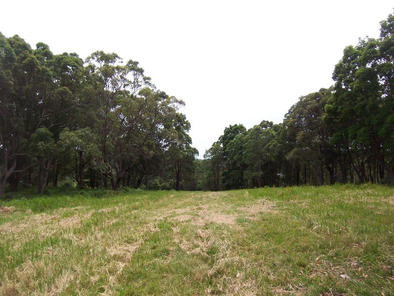 Lot 6 Bundaleer Road, Broken Head NSW 2481