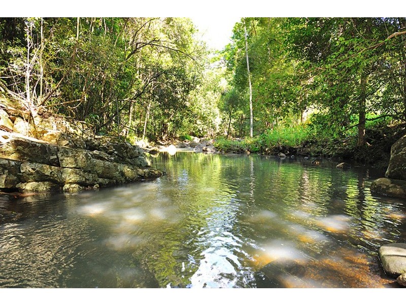 684 Left Bank Road, Mullumbimby NSW 2482