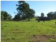 170-171 Tuckeroo Avenue, Mullumbimby NSW 2482