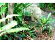 48 Cowper Street, Byron Bay NSW 2481