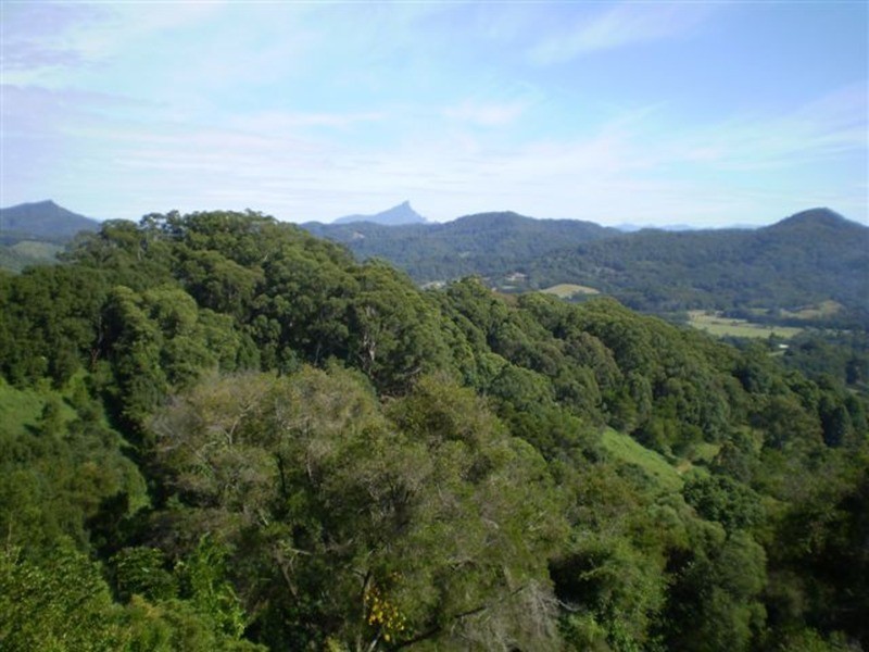 105 Hunter Street, Burringbar NSW 2483