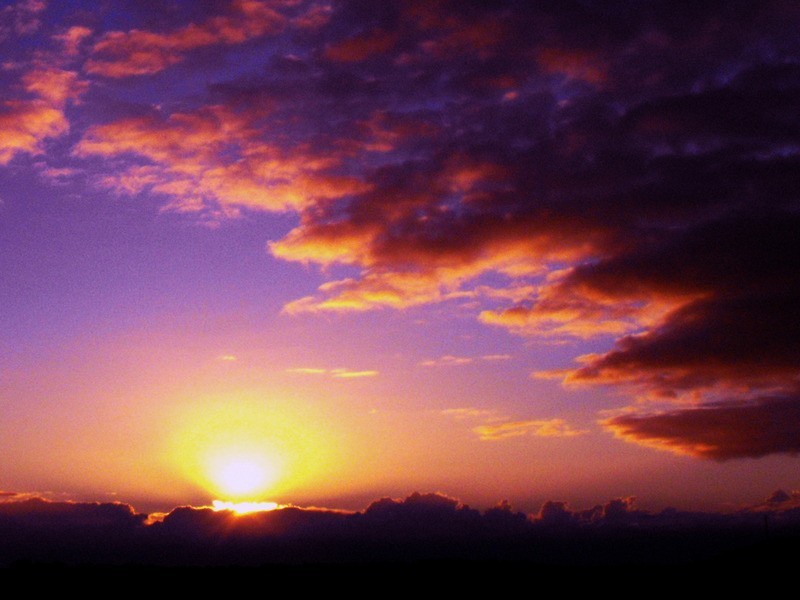 1344 Coolamon Scenic Drive Via Robinsons Lane, Mullumbimby NSW 2482