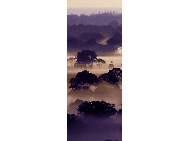 1344 Coolamon Scenic Drive Via Robinsons Lane, Mullumbimby NSW 2482