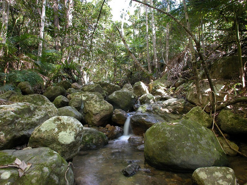 115 Johnsons Road, Huonbrook NSW 2482