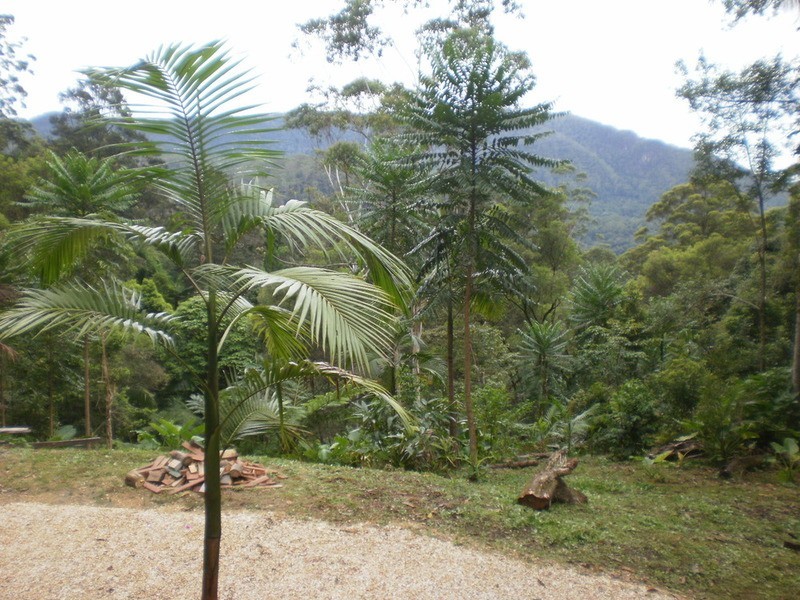 115 Johnsons Road, Huonbrook NSW 2482