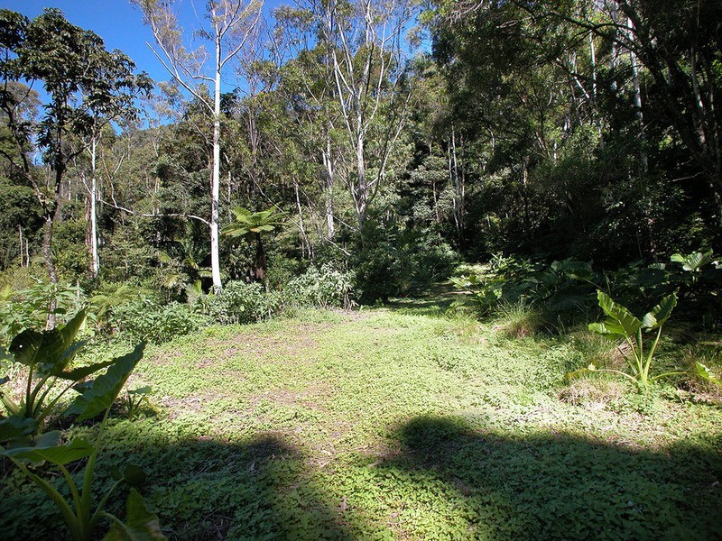 115 Johnsons Road, Huonbrook NSW 2482