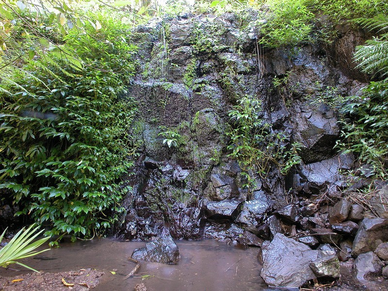 115 Johnsons Road, Huonbrook NSW 2482