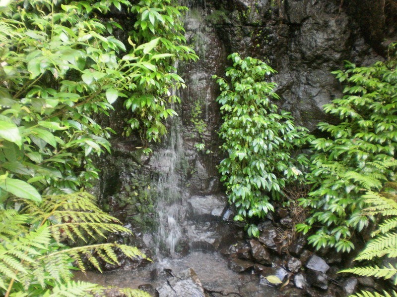 115 Johnsons Road, Huonbrook NSW 2482