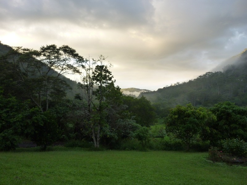 400 Upper Wilsons Creek, Wilsons Creek NSW 2482