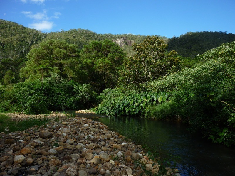 400 Upper Wilsons Creek, Wilsons Creek NSW 2482