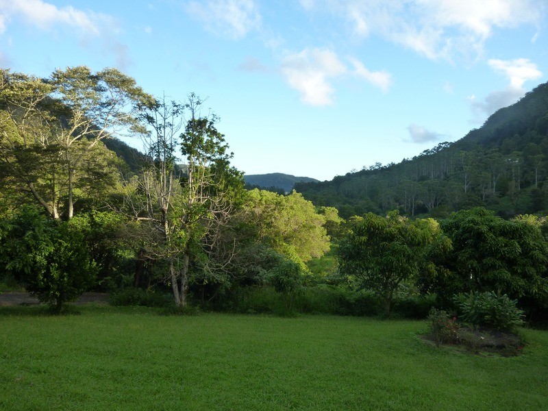 400 Upper Wilsons Creek, Wilsons Creek NSW 2482