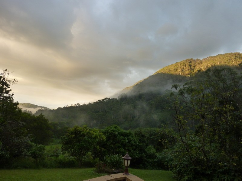 400 Upper Wilsons Creek, Wilsons Creek NSW 2482