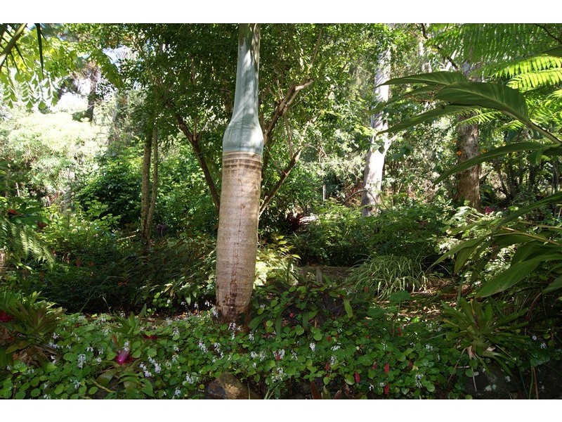 15 Yamble Drive, Ocean Shores NSW 2483