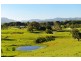 813 Myocum Road, Myocum NSW 2481