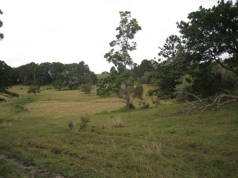 Lot 9 Bundaleer Road, Broken Head NSW 2481