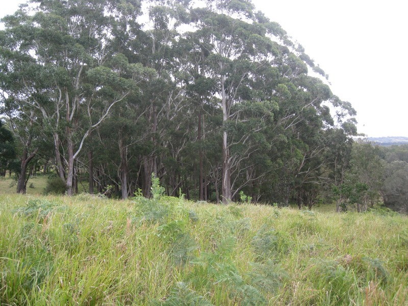 Lot 9 Bundaleer Road, Broken Head NSW 2481