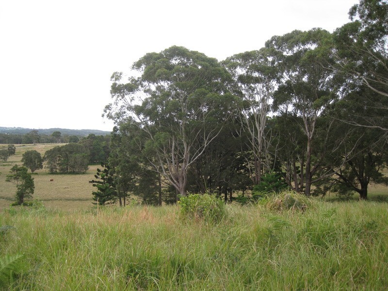 Lot 9 Bundaleer Road, Broken Head NSW 2481