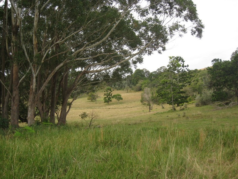 Lot 9 Bundaleer Road, Broken Head NSW 2481
