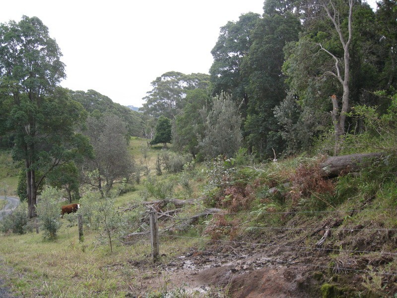 Lot 9 Bundaleer Road, Broken Head NSW 2481