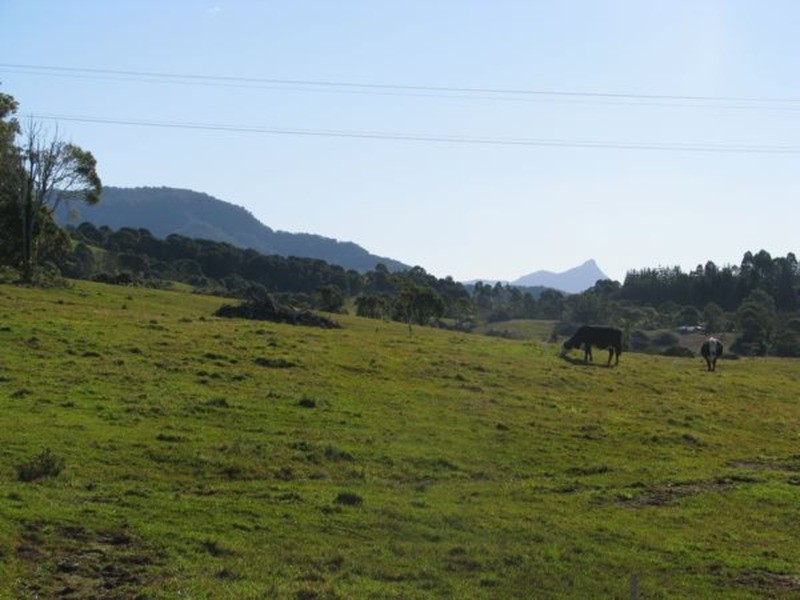 170-171 Tuckeroo Avenue, Mullumbimby NSW 2482