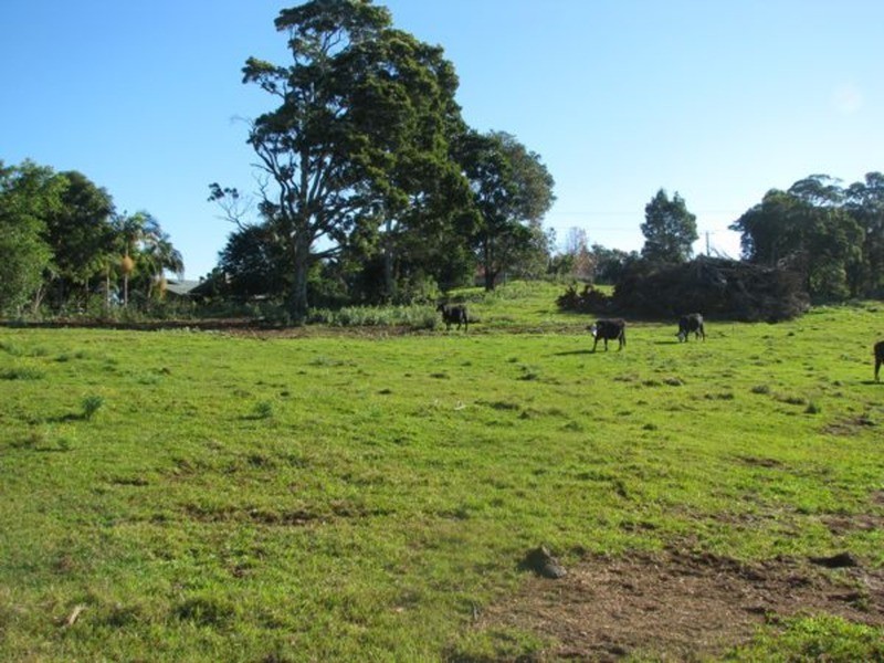 170-171 Tuckeroo Avenue, Mullumbimby NSW 2482