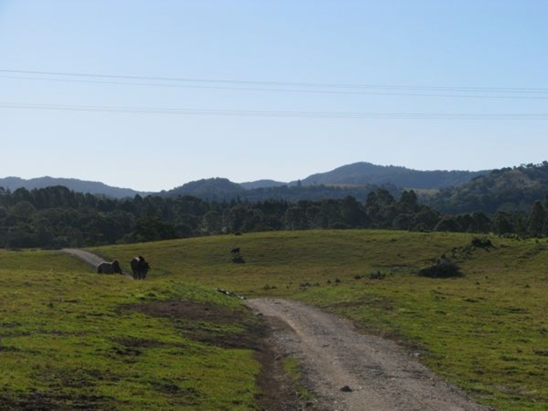 170-171 Tuckeroo Avenue, Mullumbimby NSW 2482