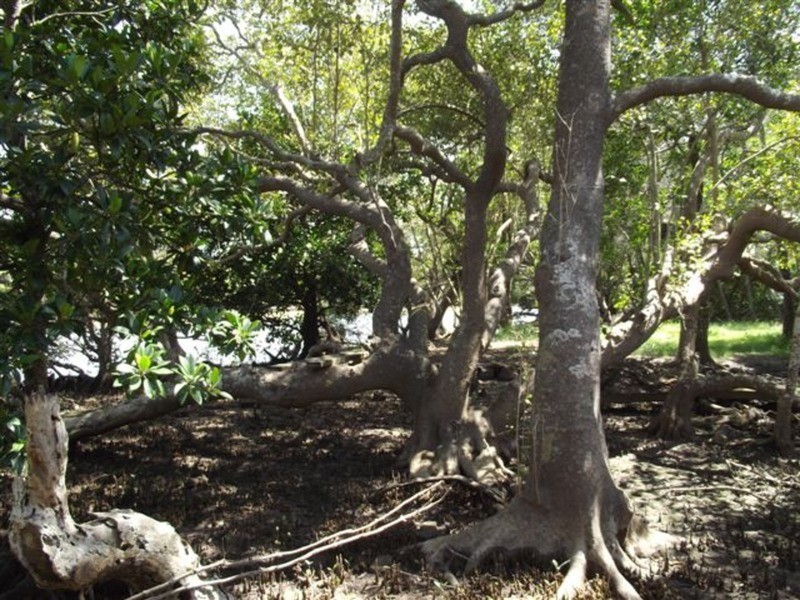 17a Pacific Street, New Brighton NSW 2483