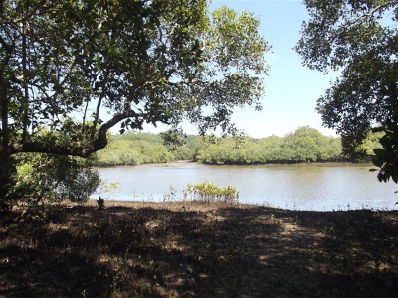 17a Pacific Street, New Brighton NSW 2483