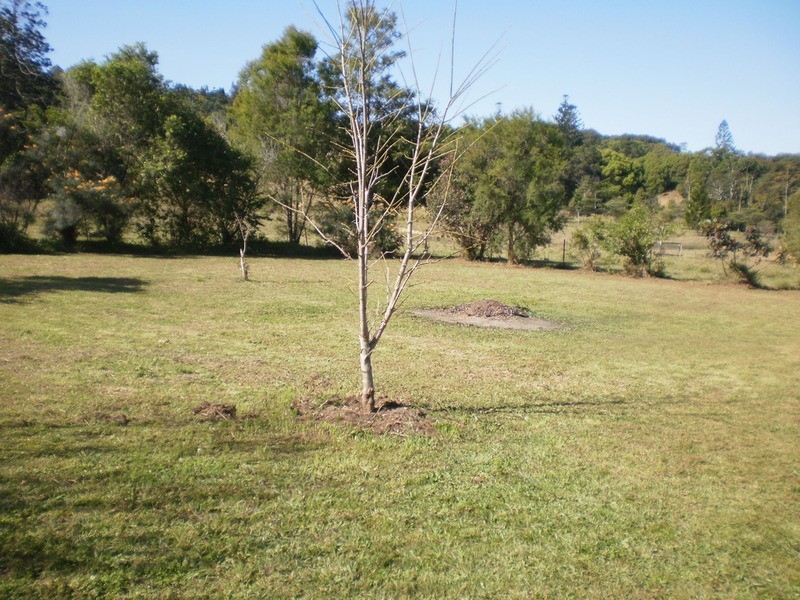 26 Chinamans Hill Road, Middle Pocket NSW 2483