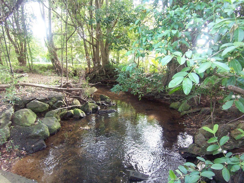 26 Chinamans Hill Road, Middle Pocket NSW 2483
