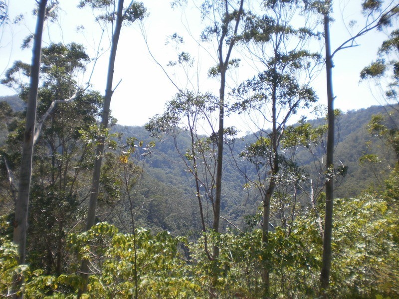 1268 Main Arm  Road, Upper Main Arm NSW 2482