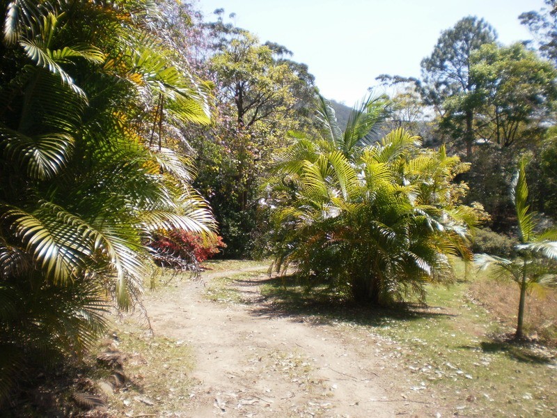 1268 Main Arm  Road, Upper Main Arm NSW 2482