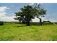 70 Kennedys Lane, Tyagarah NSW 2481