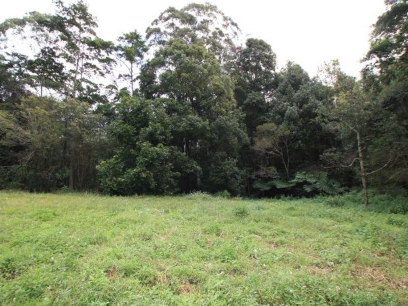 Lot 7 Benjamins Lane, Billinudgel NSW 2483