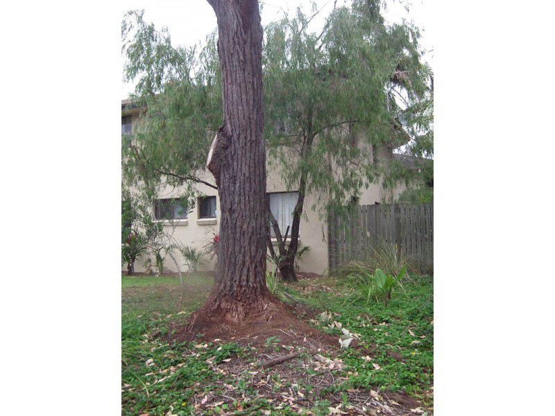 8/5-9 Somerset Street, Byron Bay NSW 2481