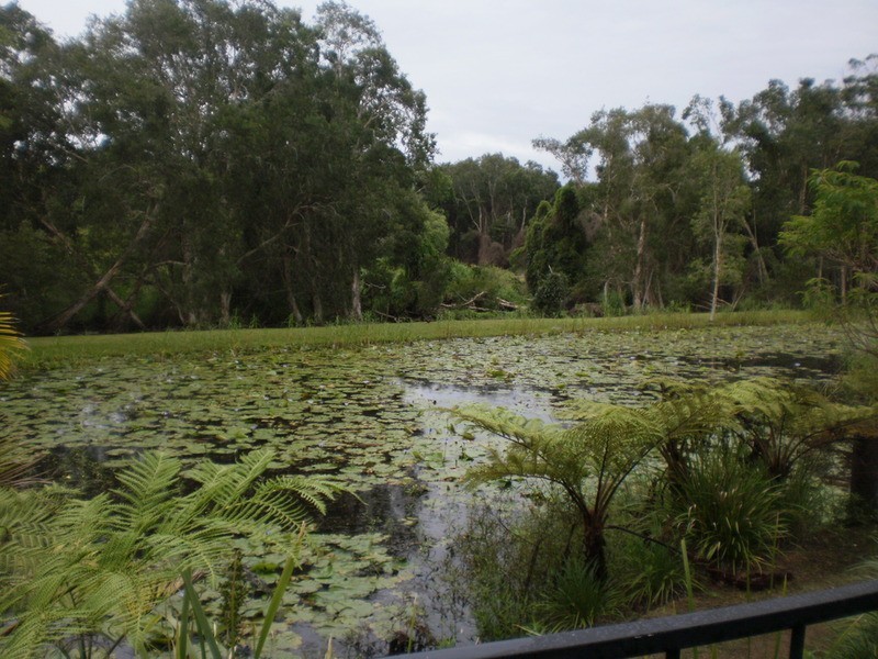 11/5 Old Bangalow Road, Byron Bay NSW 2481