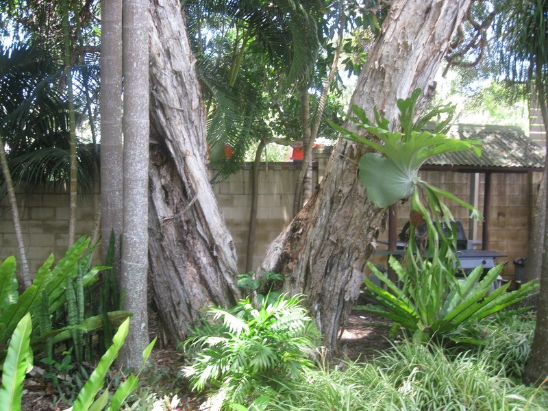 74-78 Bangalow Road, Byron Bay NSW 2481
