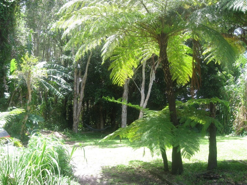 74-78 Bangalow Road, Byron Bay NSW 2481