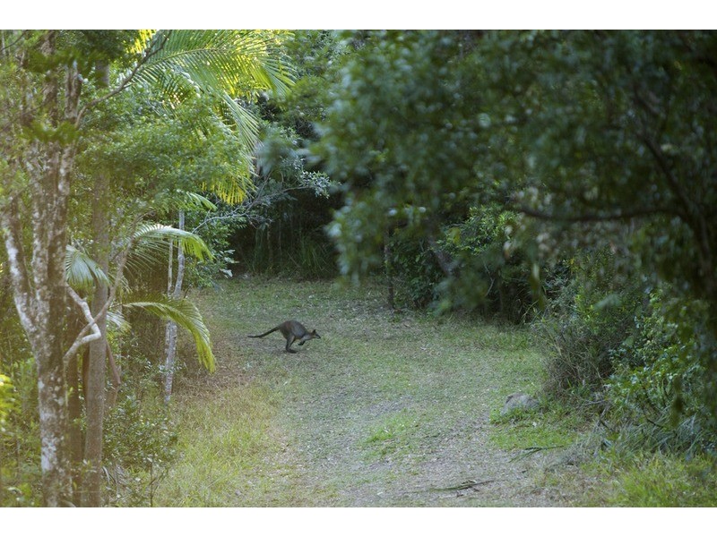 Lot 2 Bunjum, Seven Mile Beach Road, Broken Head NSW 2481