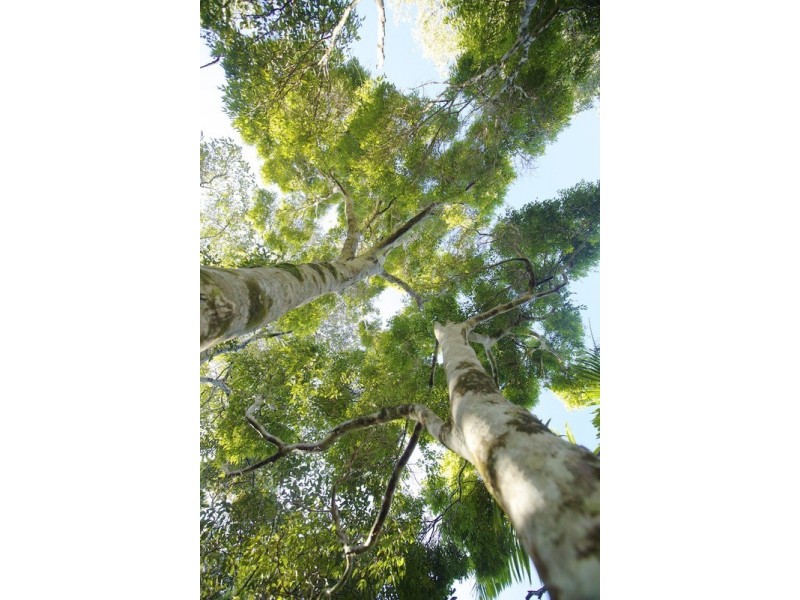 Lot 2 Bunjum, Seven Mile Beach Road, Broken Head NSW 2481