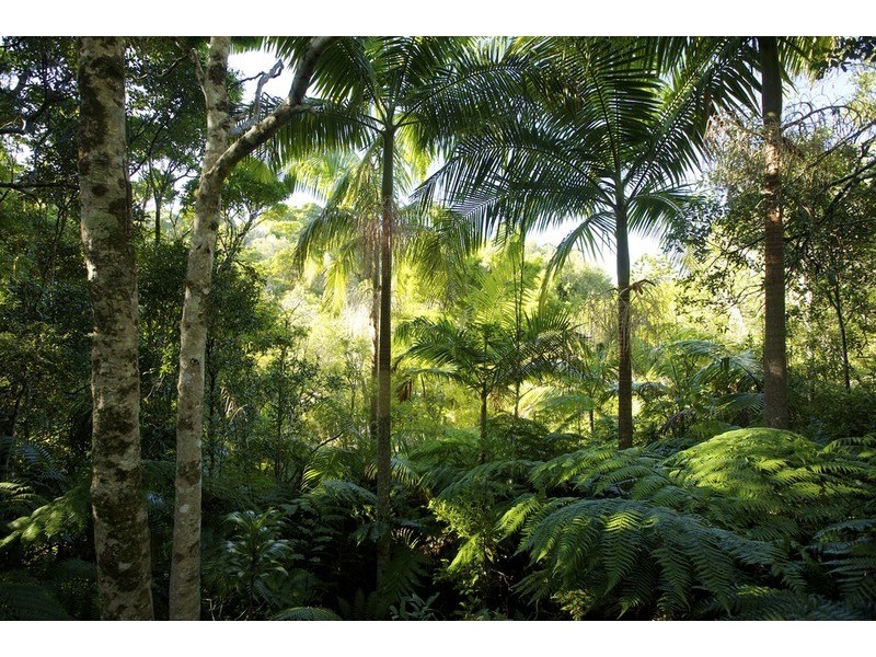 Lot 2 Bunjum, Seven Mile Beach Road, Broken Head NSW 2481