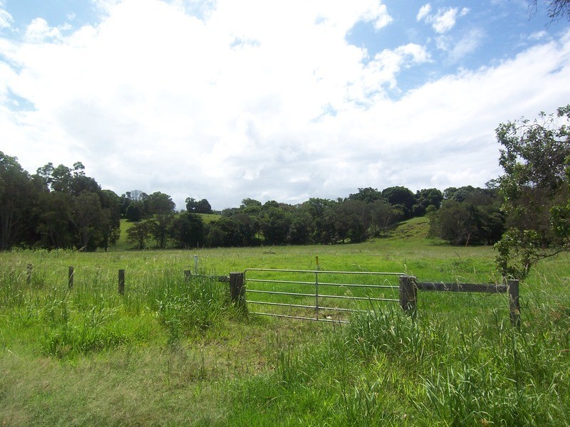 219 The Saddle Road, Mullumbimby NSW 2482